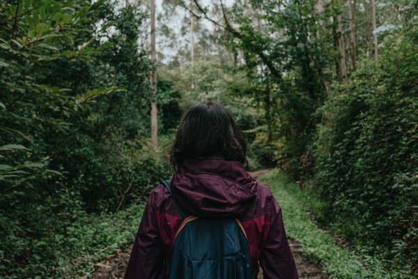 Walking in forest