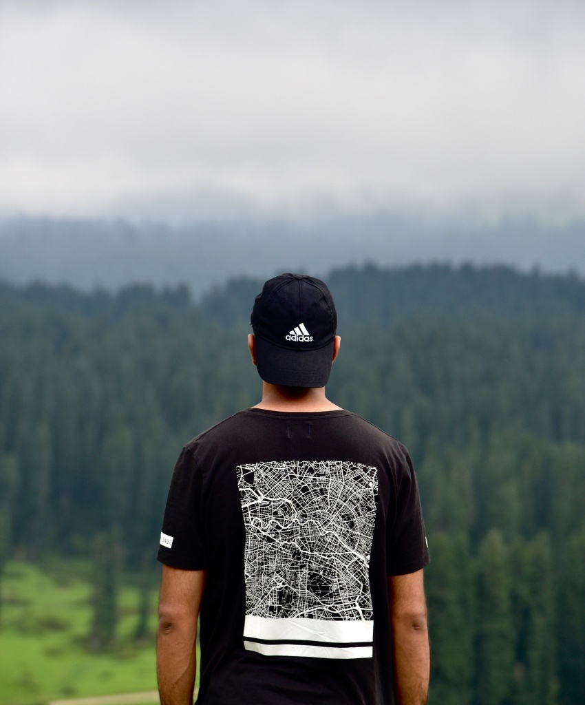 Man looking over forest